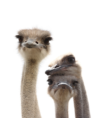Besuchen Sie uns - NaDi-Fotolia.com Besuchen Sie uns - NaDi-Fotolia.com