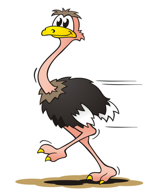Laufvogel Strauß-fotolia.com-jokatoons Laufvogel Strauß-fotolia.com-jokatoons