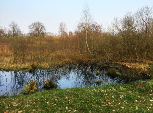 Moor im Winter Moor im Winter