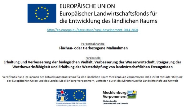 Bienenblühwiese EU-Maßnahme Bienenblühwiese EU-Maßnahme